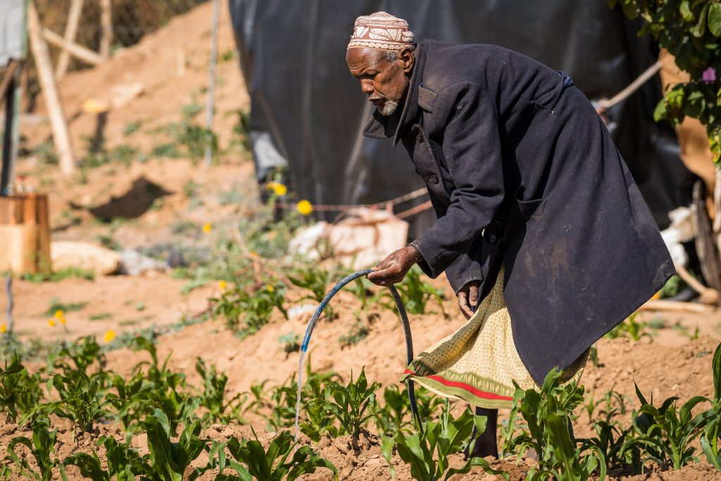 Supporting decent work for those forced to move and those who want to ...